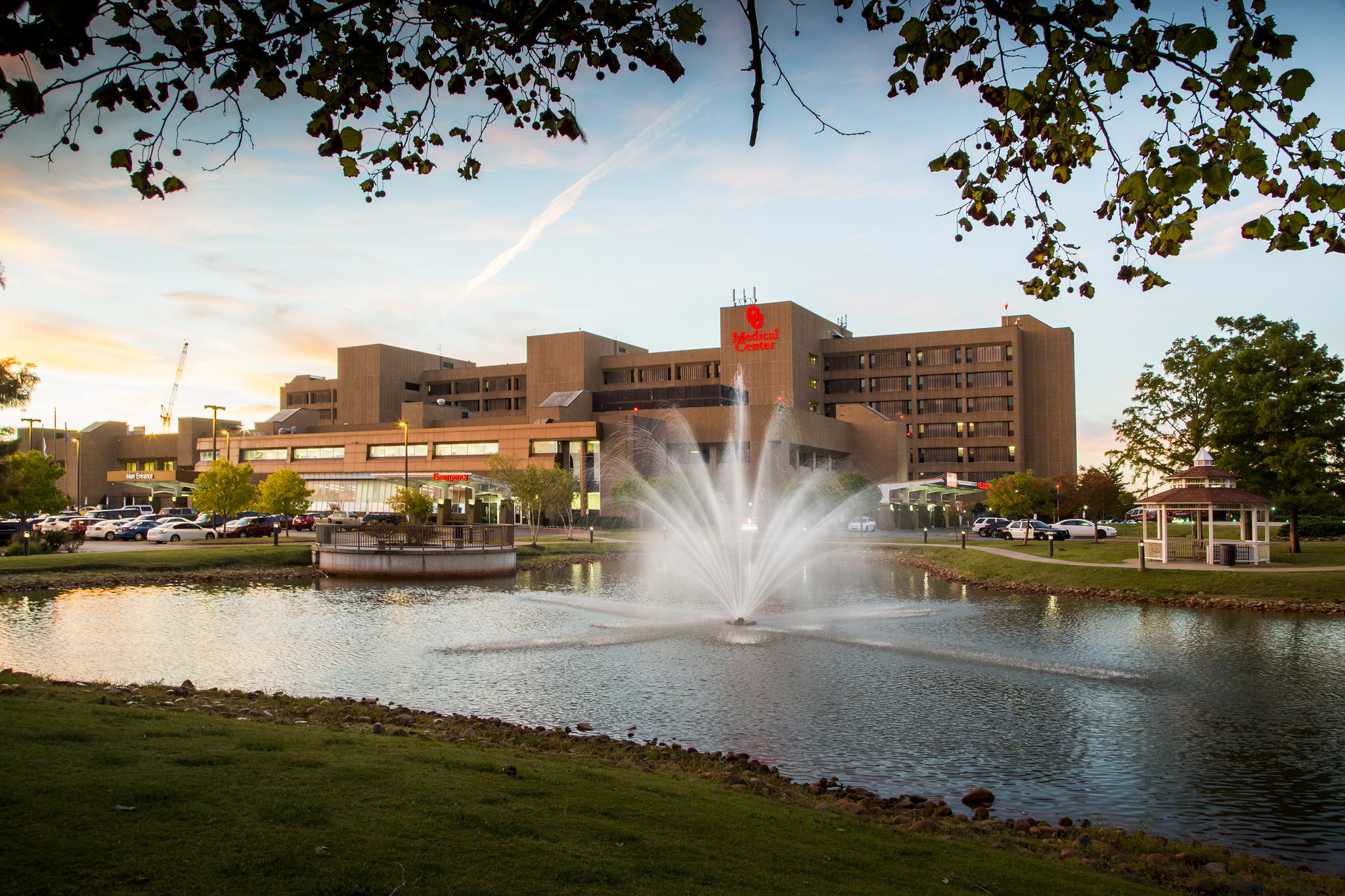 The medical center building and the fountain in the image.